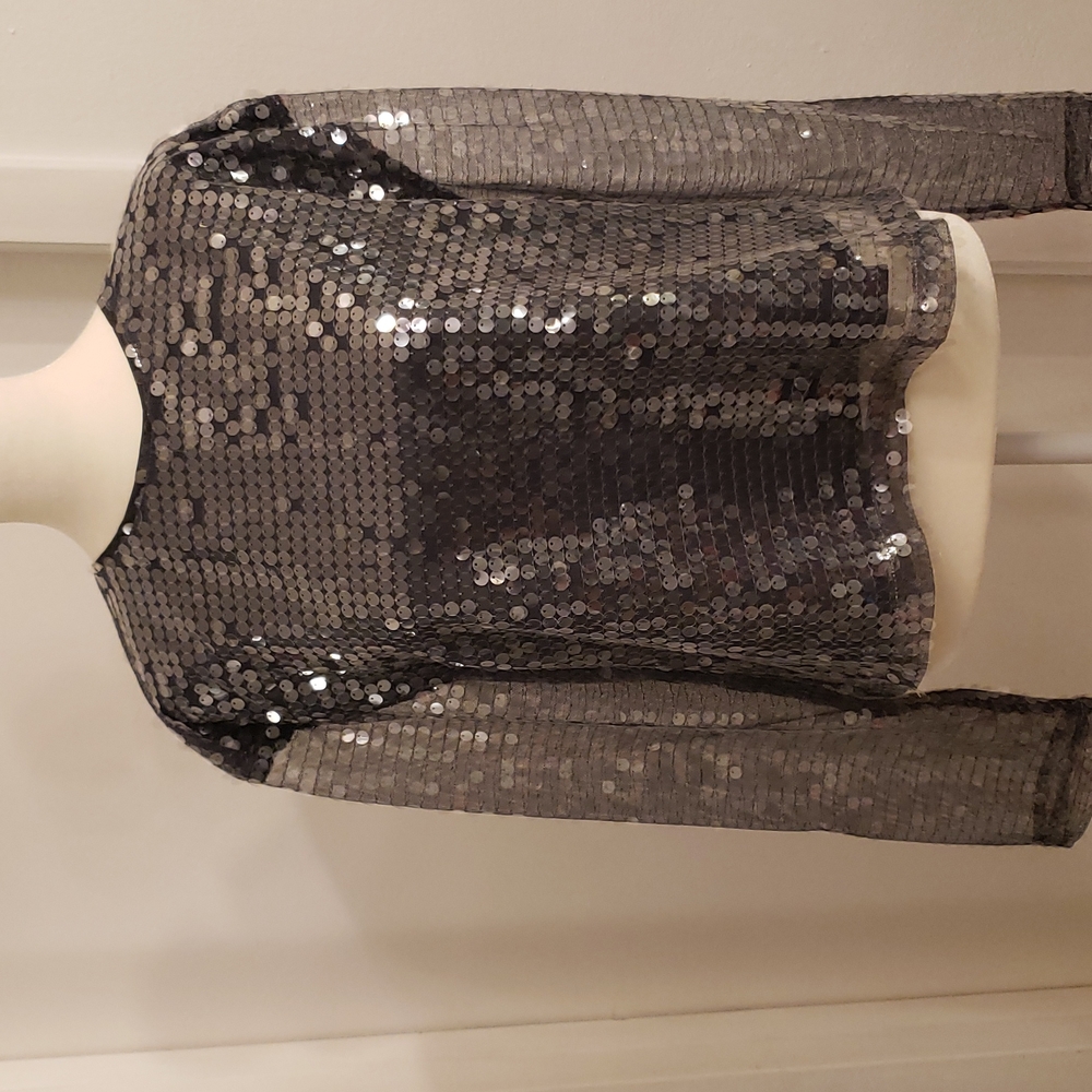 Silver Blouse medium
